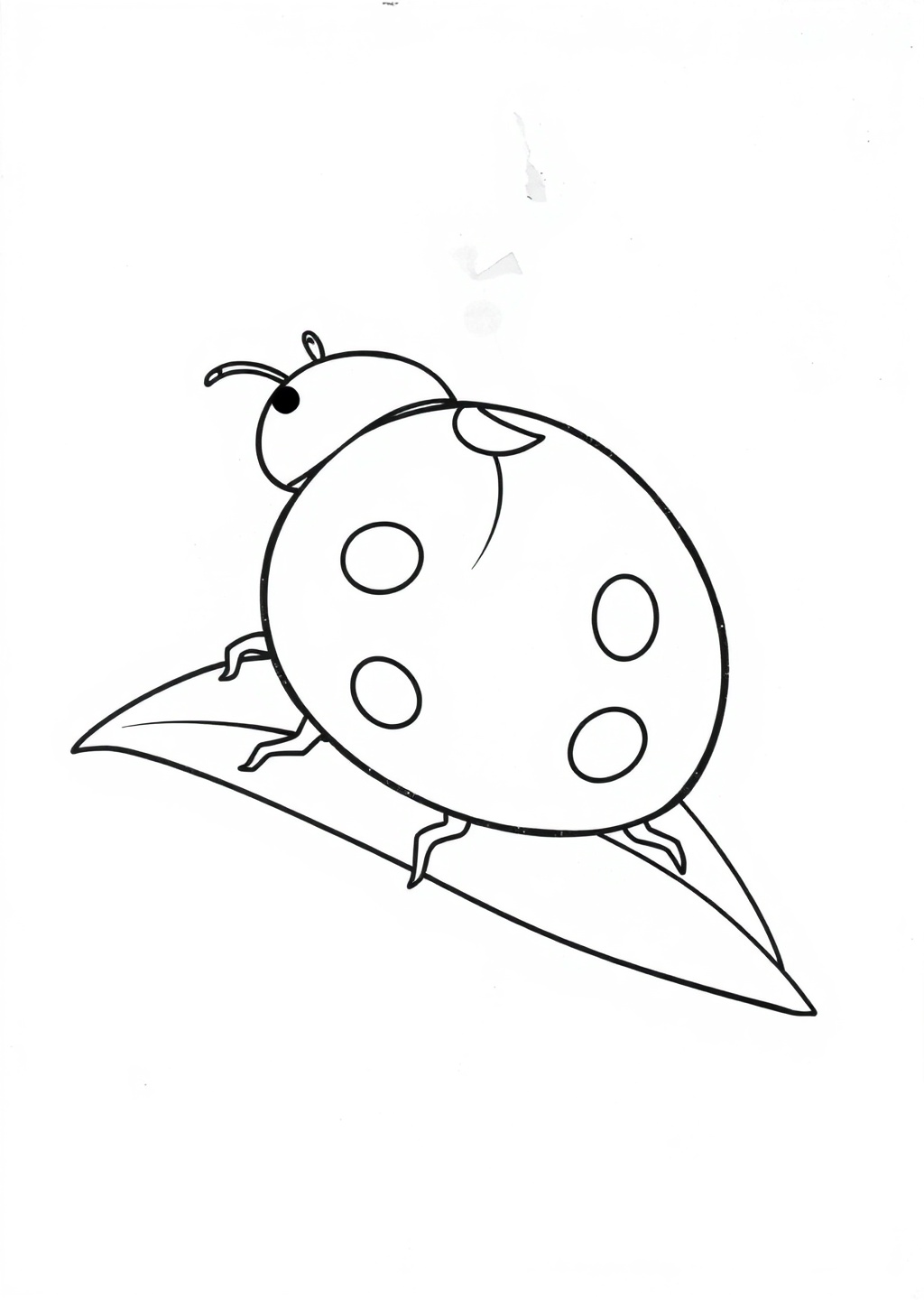 Ausmalbild: Marienkäfer